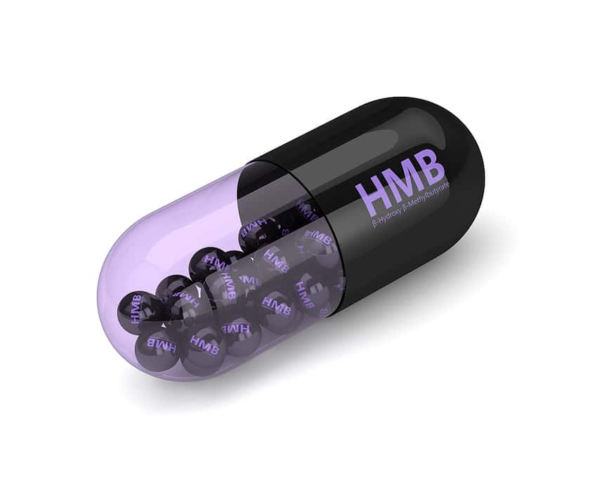 Should I Take HMB On Off Days? – Burn Lab Pro®